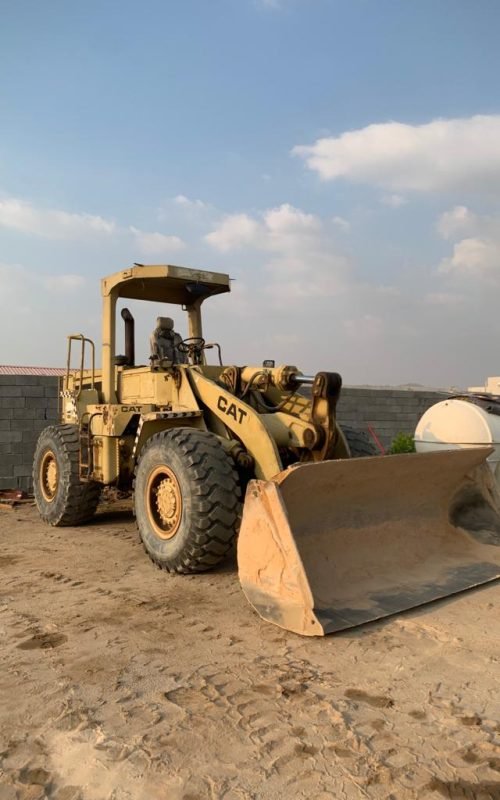 16e70f1e-c9f9-4a39-8b0c-a01e1e34b203